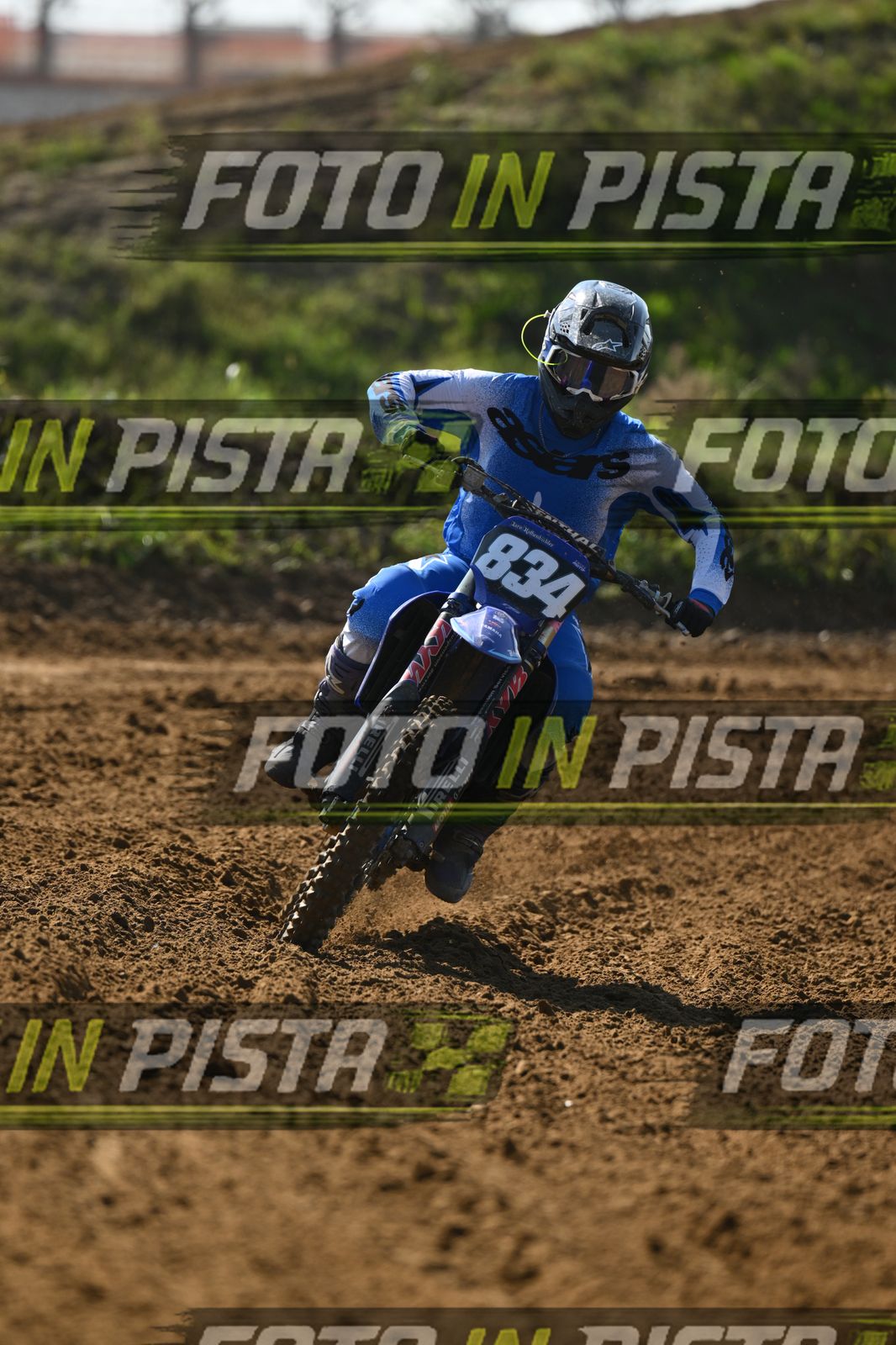 834 · DSH_0250
