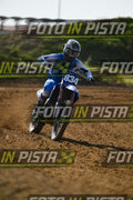834 · DSH_0254