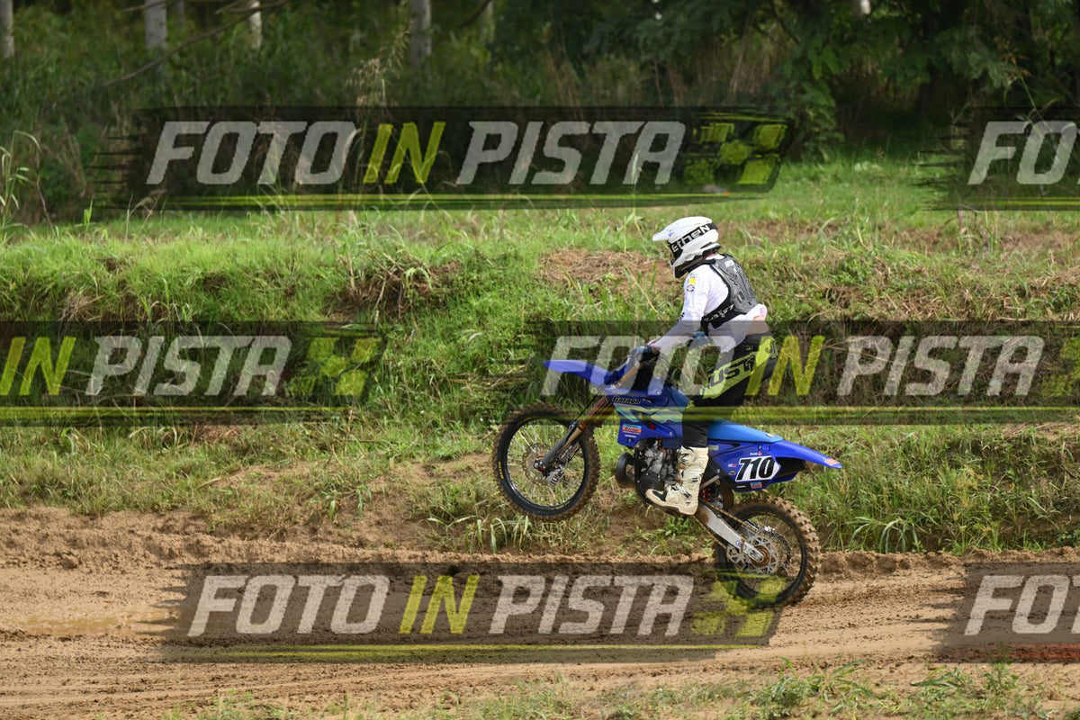 710 · DSH_0274