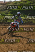 22 · DSH_0288