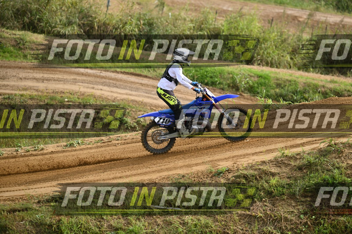 710 · DSH_0290
