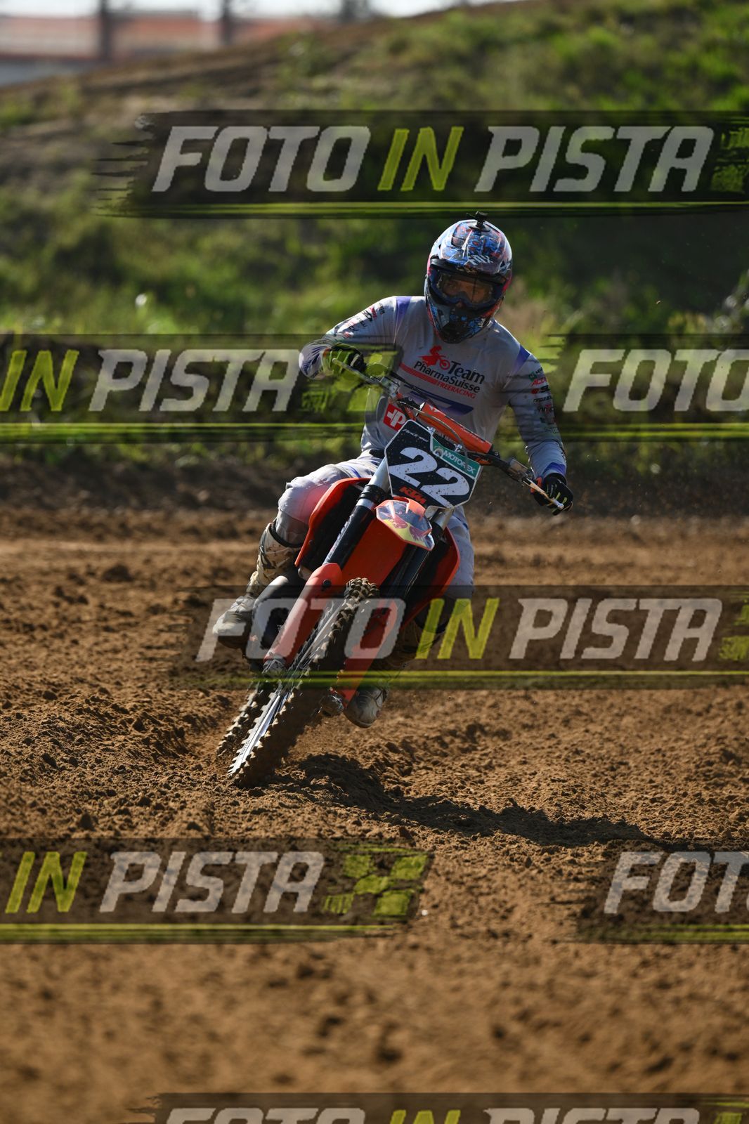 22 · DSH_0290