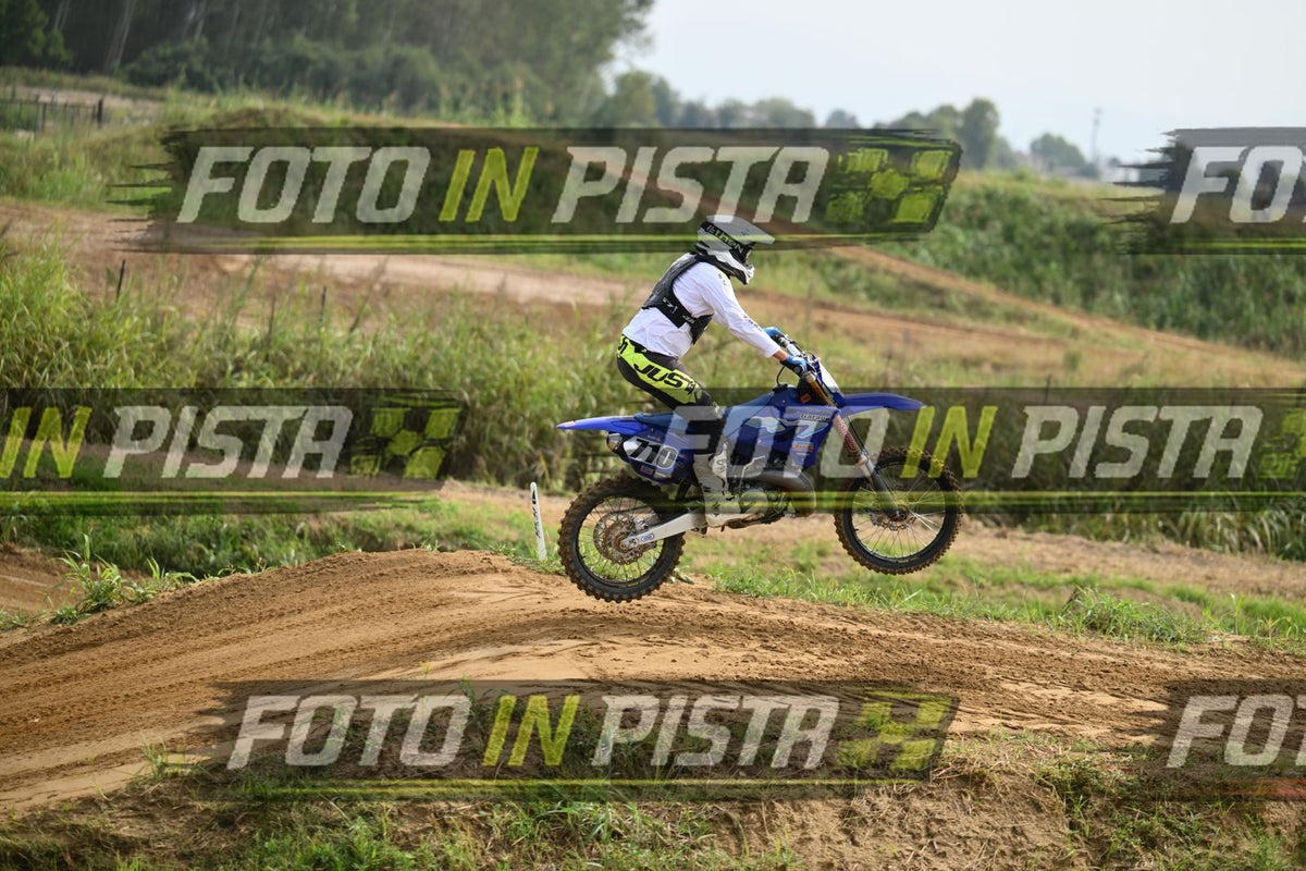 710 · DSH_0293