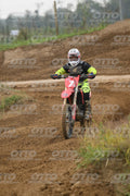 7 · DSH_0300
