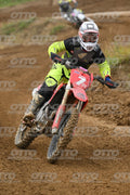 7 · DSH_0308