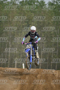 169 · DSH_0309