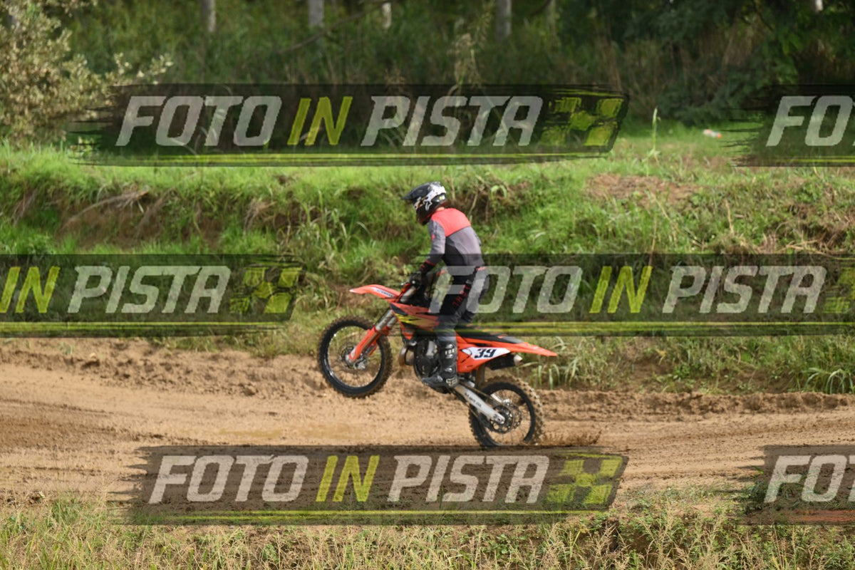 39 · DSH_0310