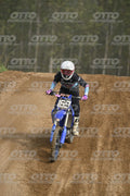 169 · DSH_0310