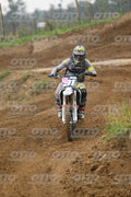 91 · DSH_0313