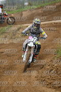 91 · DSH_0317