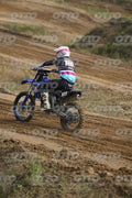 169 · DSH_0329