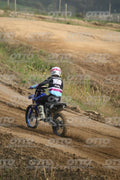 169 · DSH_0332