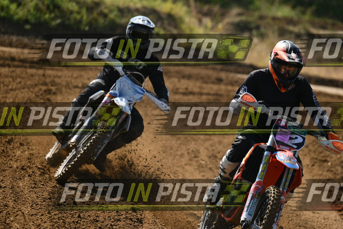 12 · DSH_0336