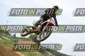 39 · DSH_0351