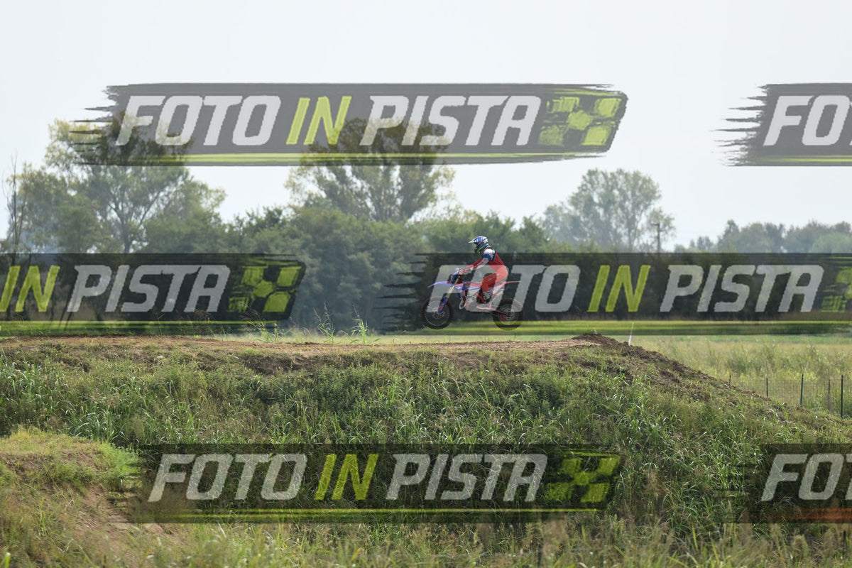 BETA · DSH_0377