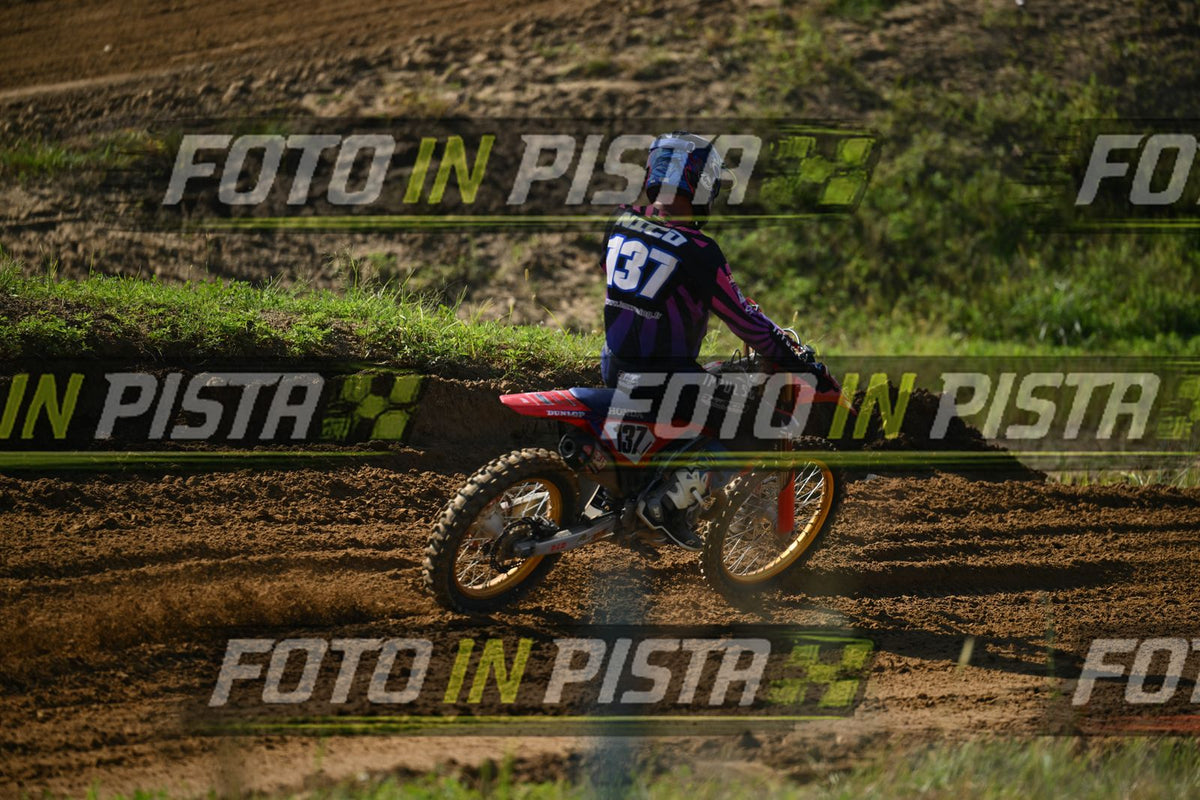137 · DSH_0377