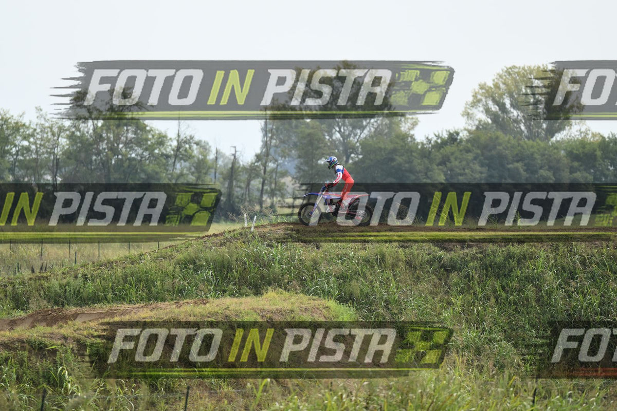 BETA · DSH_0379