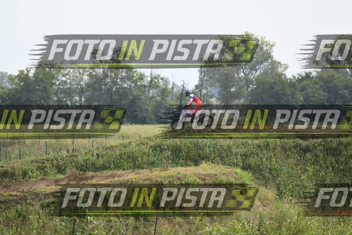 BETA · DSH_0380