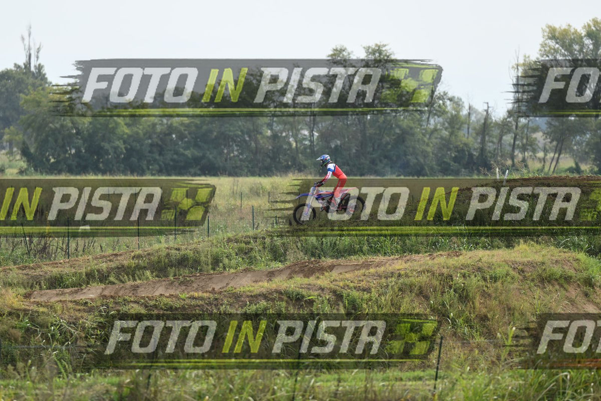 BETA · DSH_0381