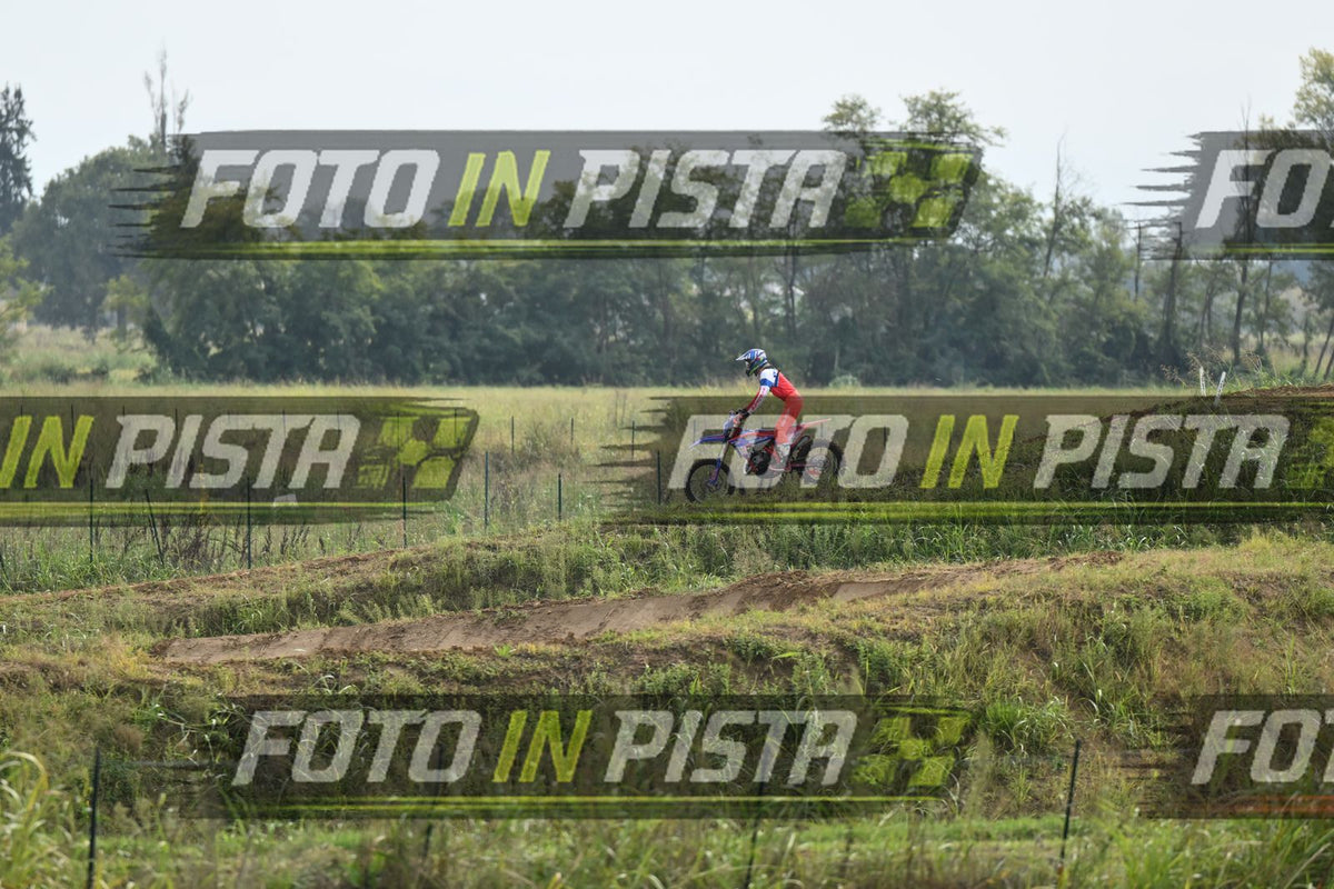 BETA · DSH_0382
