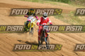 572 · DSH_0384