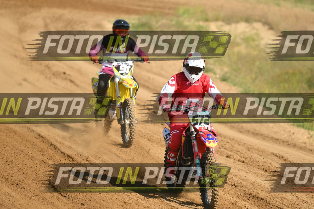 572 · DSH_0388