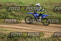 710 · DSH_0393