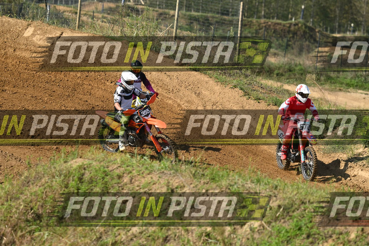 355 · DSH_0396