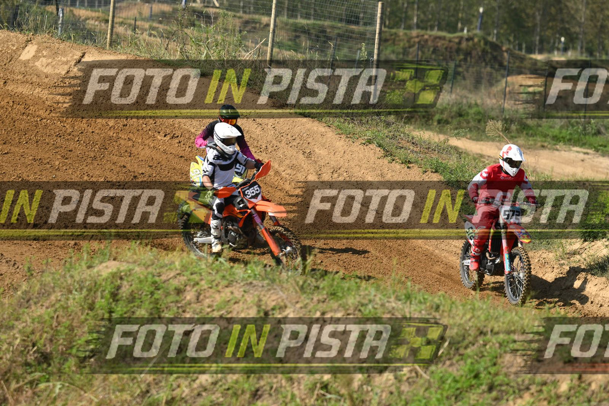 355 · DSH_0397