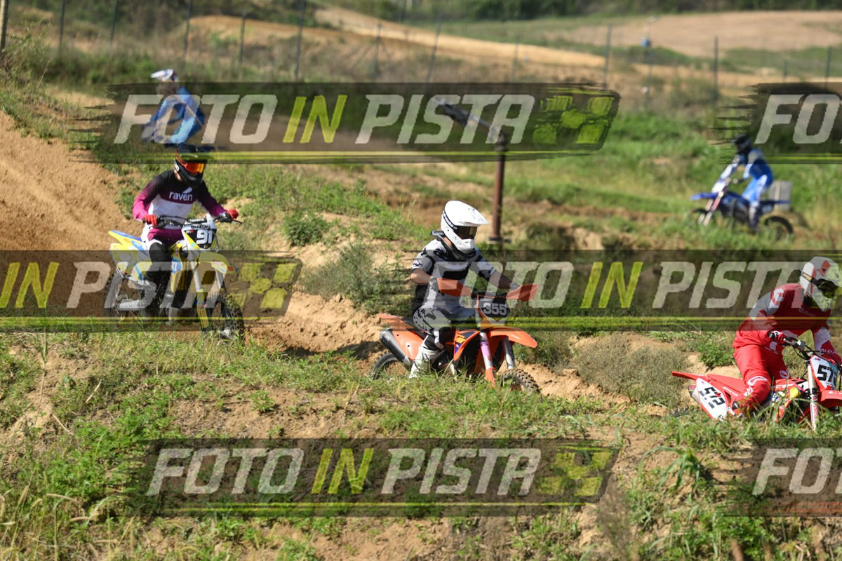 355 · DSH_0398