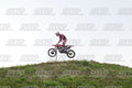 13 · DSH_0461