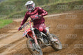 13 · DSH_0491