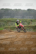 7 · DSH_0494