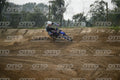 169 · DSH_0496
