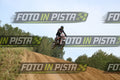 39 · DSH_0510