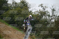 169 · DSH_0532