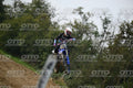 169 · DSH_0533