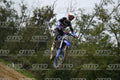 169 · DSH_0538