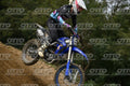 169 · DSH_0542