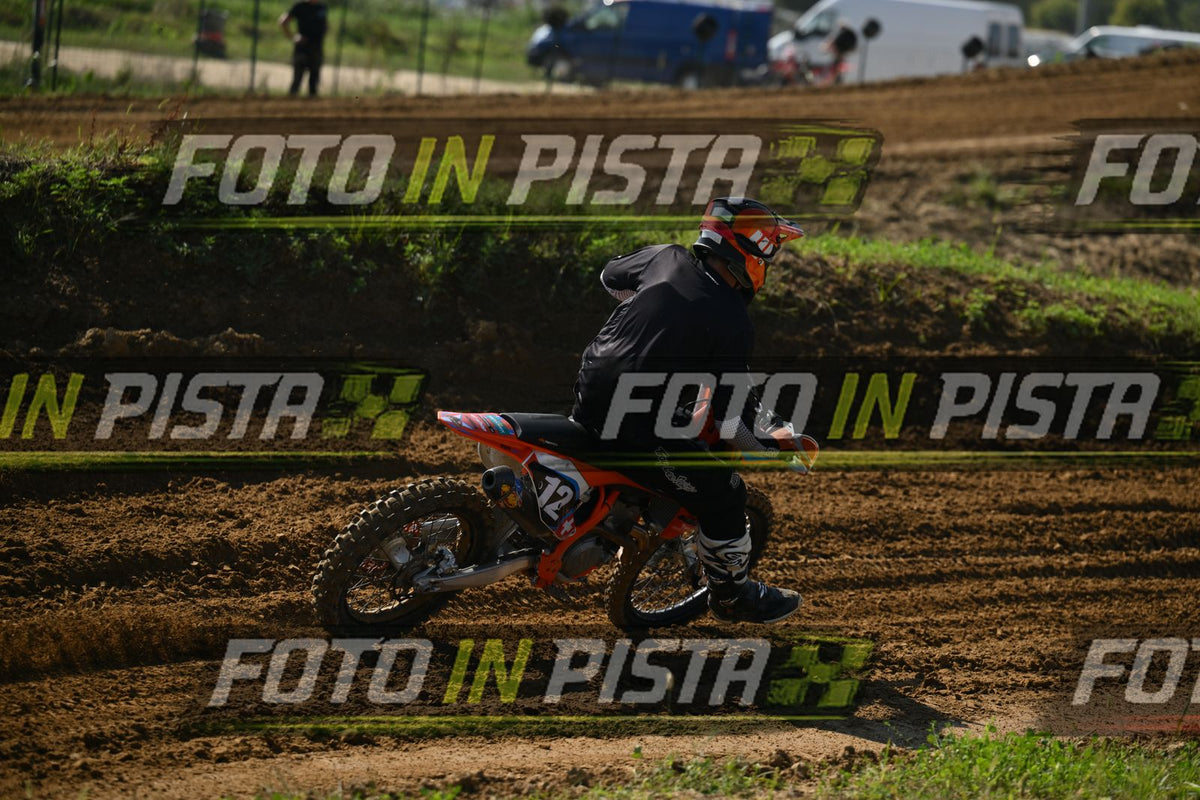 12 · DSH_0550