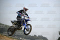 169 · DSH_0550