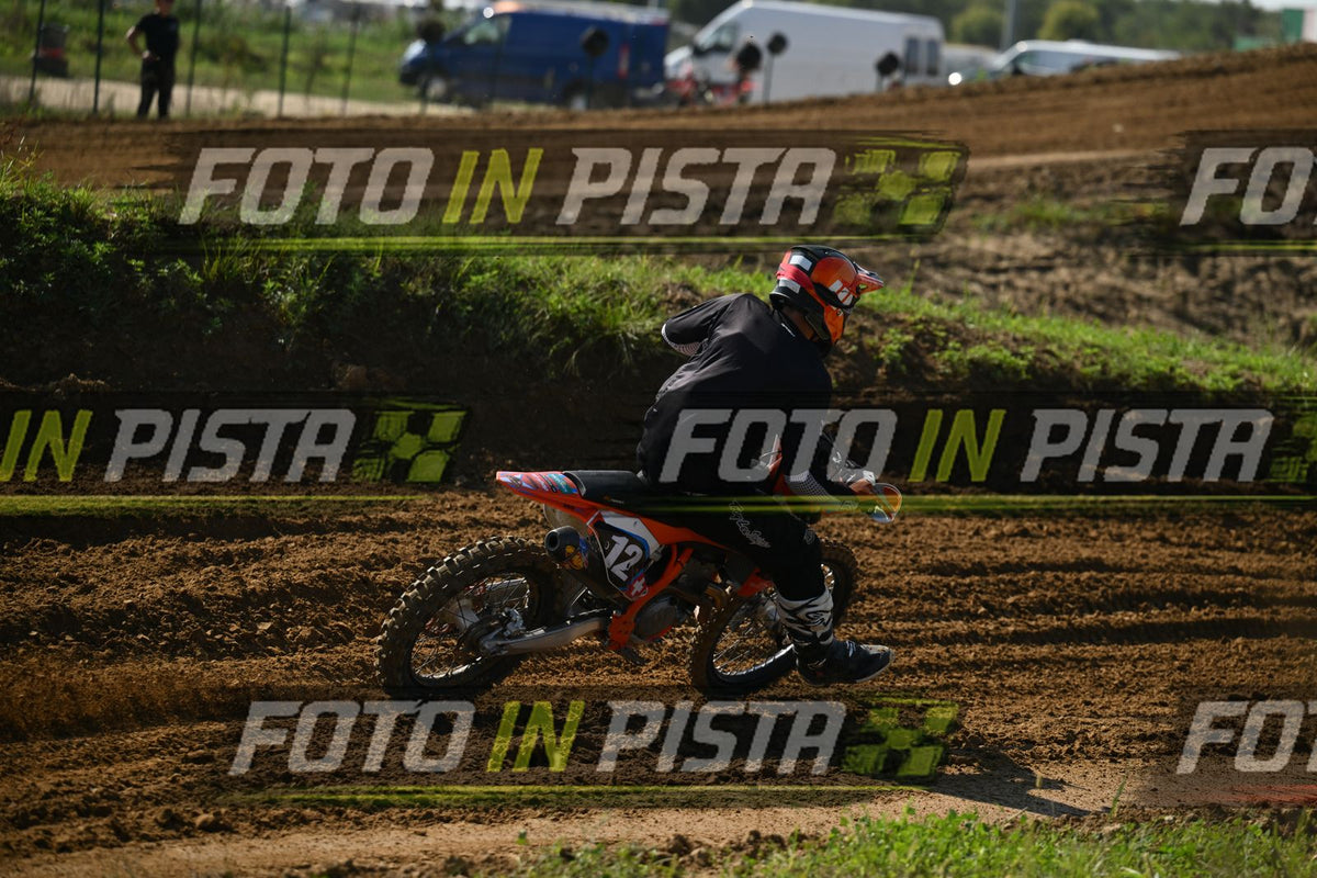 12 · DSH_0551