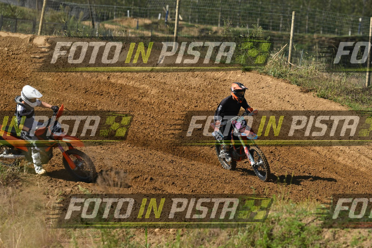 12 · DSH_0556