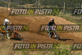 355 · DSH_0556
