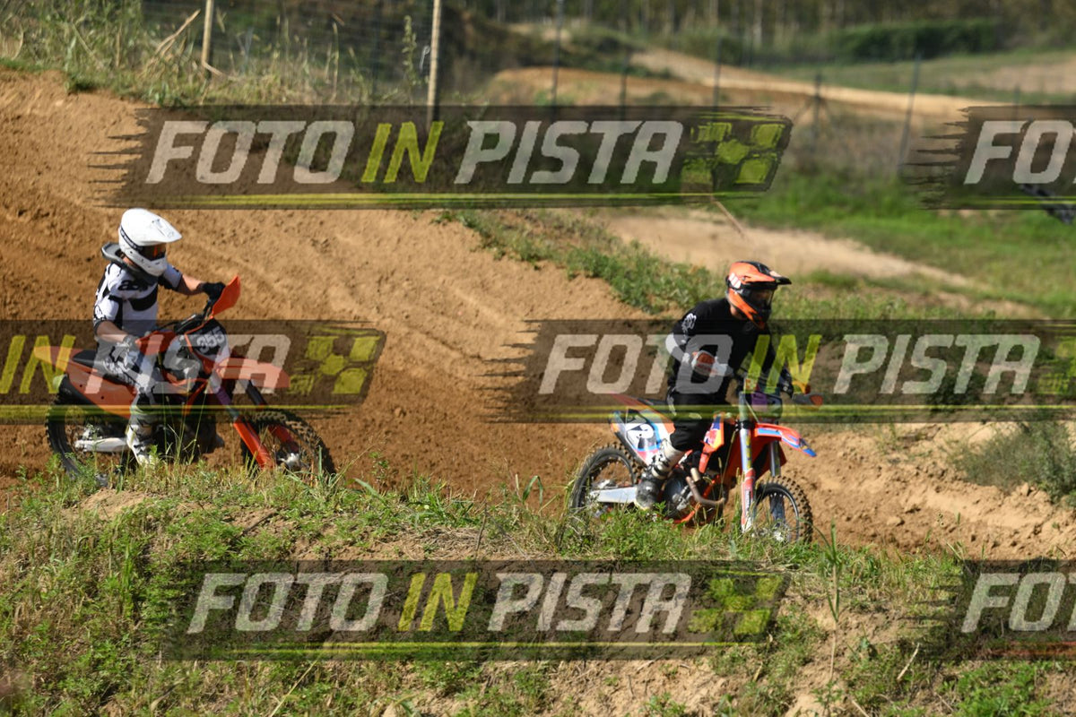 355 · DSH_0559