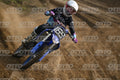 169 · DSH_0582