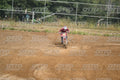 13 · DSH_0618