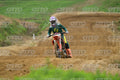 452 · DSH_0636