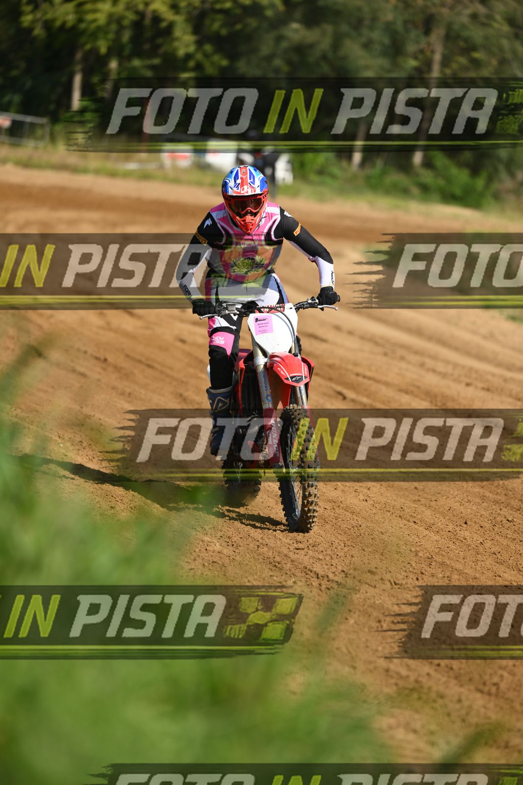HONDA - PINK WHITE BLACK SHIRT · DSH_0661