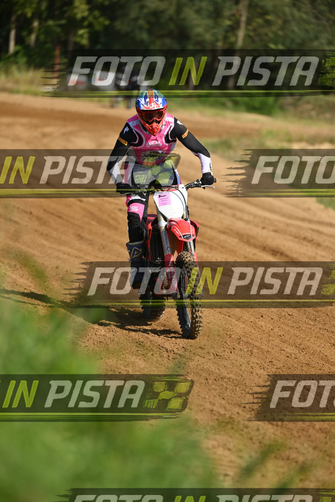 HONDA - PINK WHITE BLACK SHIRT · DSH_0662